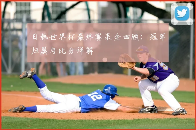 日韩世界杯最终赛果全回顾：冠军归属与比分详解