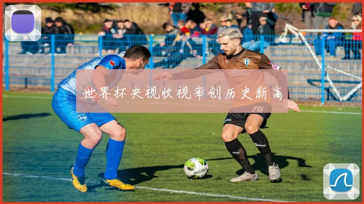 世界杯央视收视率创历史新高
