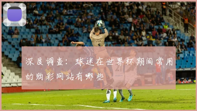 深度调查：球迷在世界杯期间常用的购彩网站有哪些