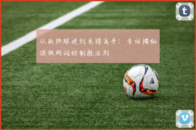 从狂热球迷到竞猜高手：专访揭秘顶级网站的制胜法则