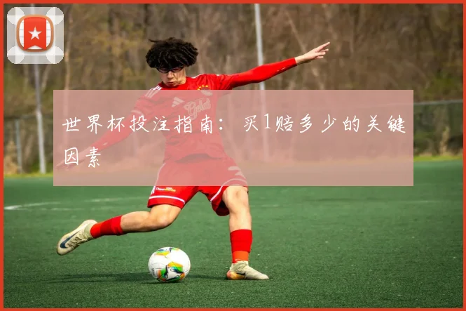 世界杯投注指南：买1赔多少的关键因素