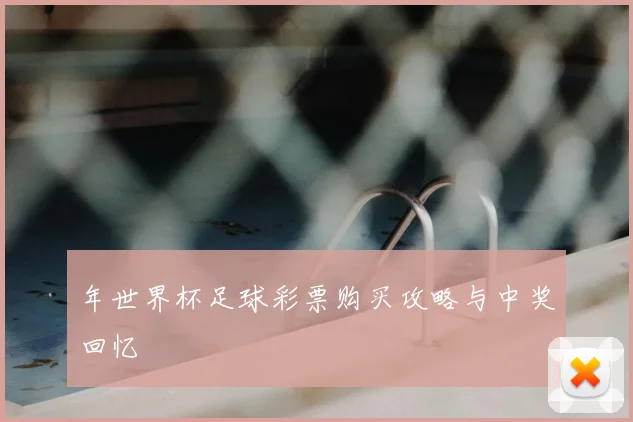 年世界杯足球彩票购买攻略与中奖回忆