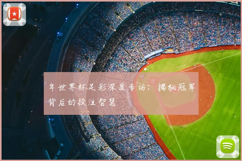 年世界杯足彩深度专访：揭秘冠军背后的投注智慧