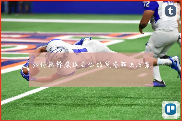 如何选择最适合你的莫塔解决方案