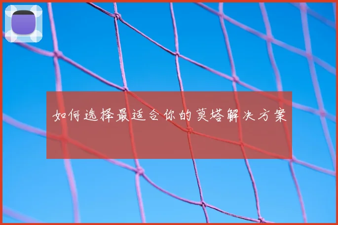 如何选择最适合你的莫塔解决方案